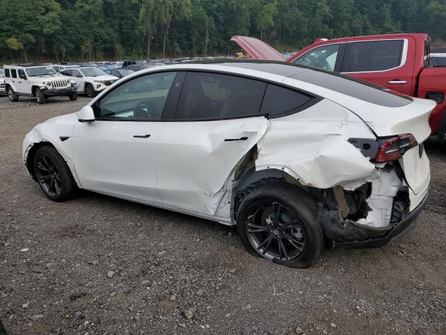 2025 TESLA MODEL Y 7SAYGDED8SF266777