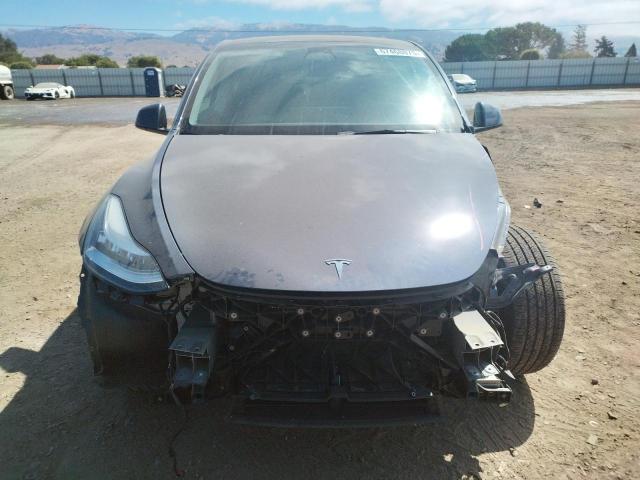 2023 TESLA MODEL Y 7SAYGDEE5PF601686