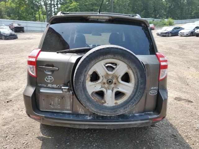 2010 TOYOTA RAV4 - 2T3BF4DV4AW036789