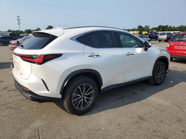 2024 LEXUS NX 250 BAS JTJADCAZ9R5014161