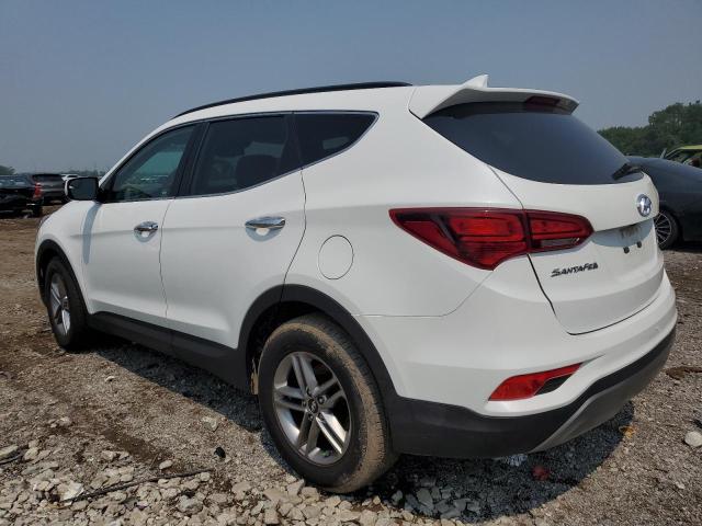 2017 HYUNDAI SANTA FE S - 5NMZUDLB4HH033868