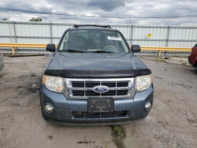 2010 FORD ESCAPE XLT - 1FMCU0DG8AKC71365