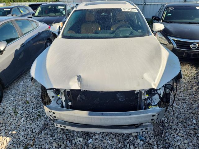 2024 LEXUS RX 350 BAS - 2T2BAMCA0RC069867