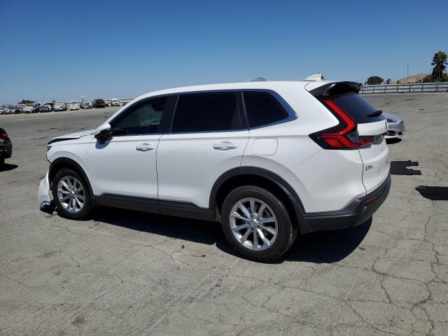 2024 HONDA CR-V EXL #3302687034