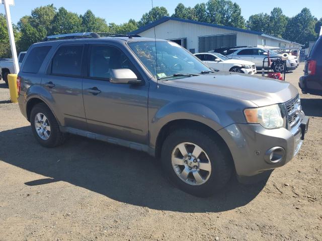 2010 FORD ESCAPE LIMITED - 1FMCU9E72AKB80000