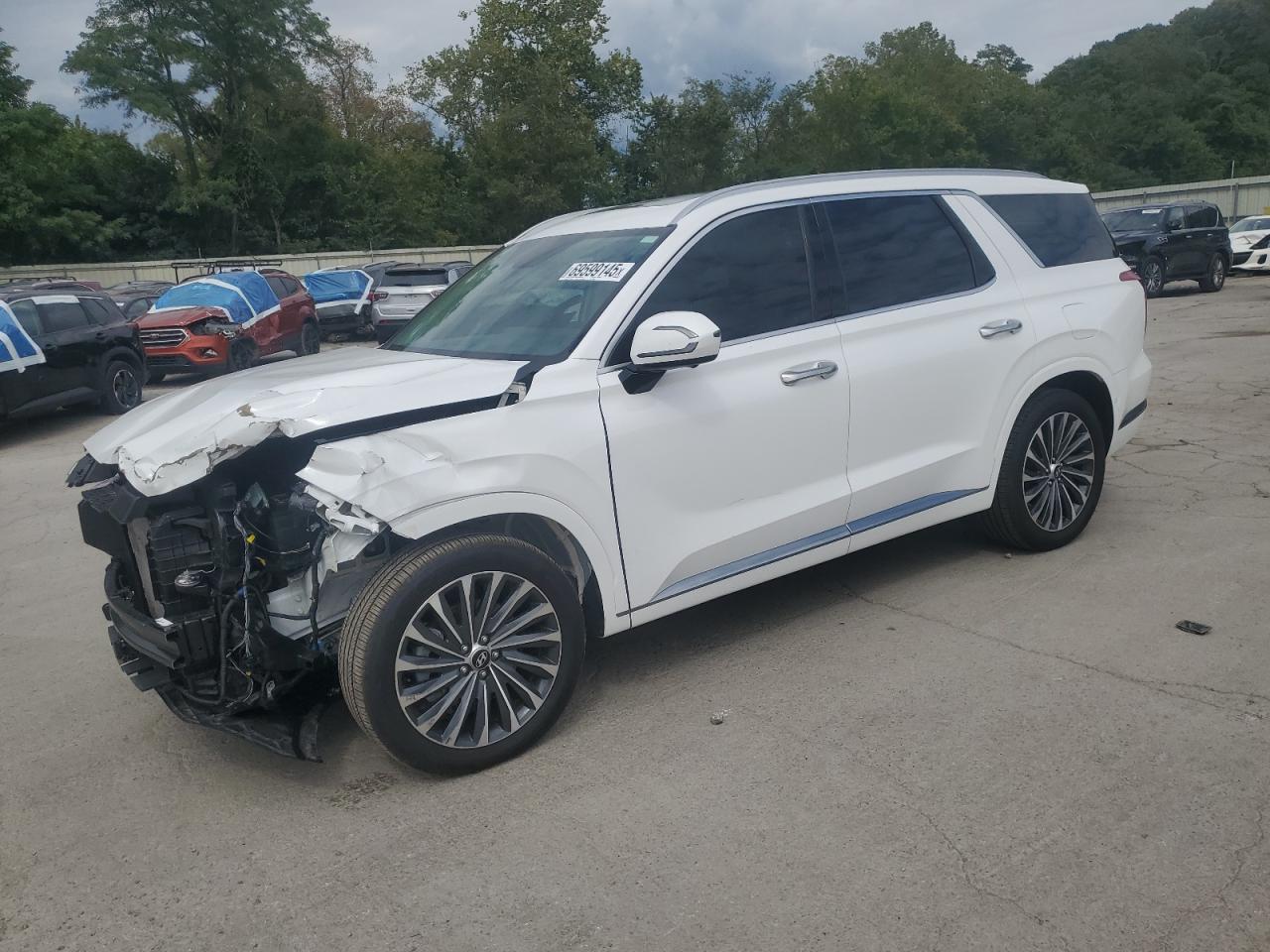 HYUNDAI PALISADE CALLIGRAPHY