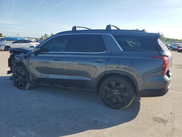 2025 HYUNDAI PALISADE X KM8R34GEXSU839376