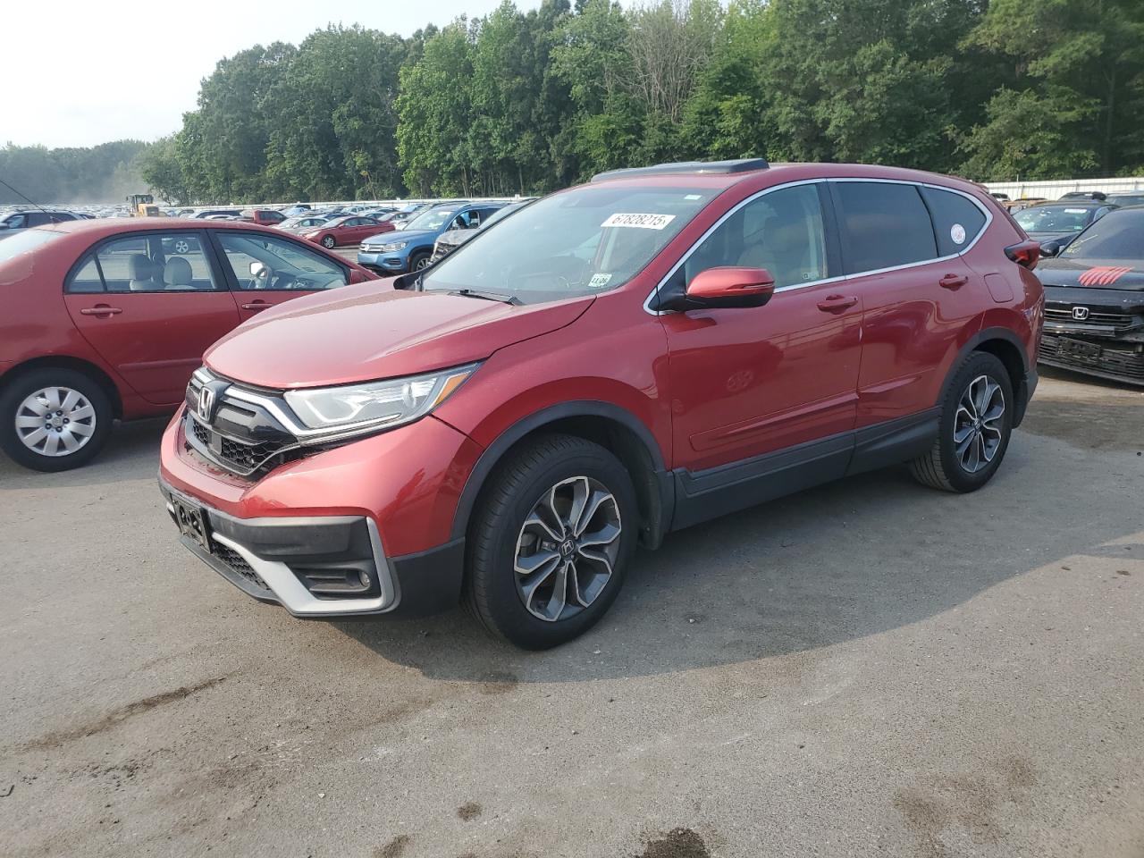 HONDA CR-V EX