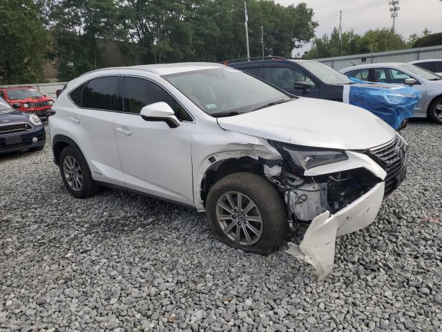 2021 LEXUS NX 300H BA JTJDJRDZ7M5011515