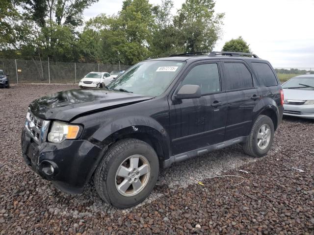 Global Auto Auctions: 2010 FORD ESCAPE XLT