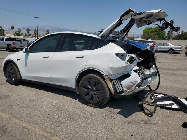 2024 TESLA MODEL Y 7SAYGDEE6RF127377