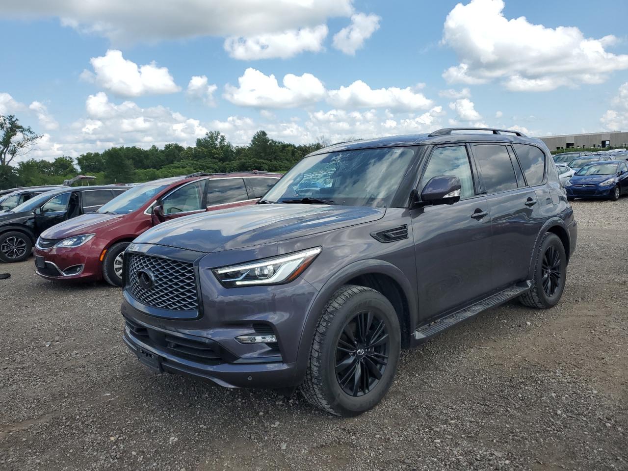INFINITI QX80 LUXE