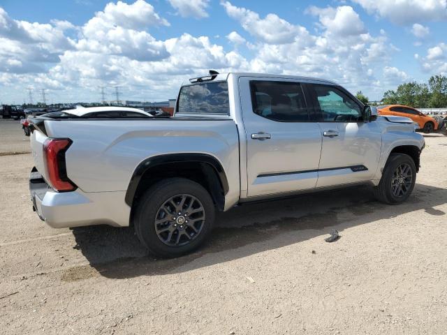 2023 TOYOTA TUNDRA CRE - 5TFNA5DB2PX114725