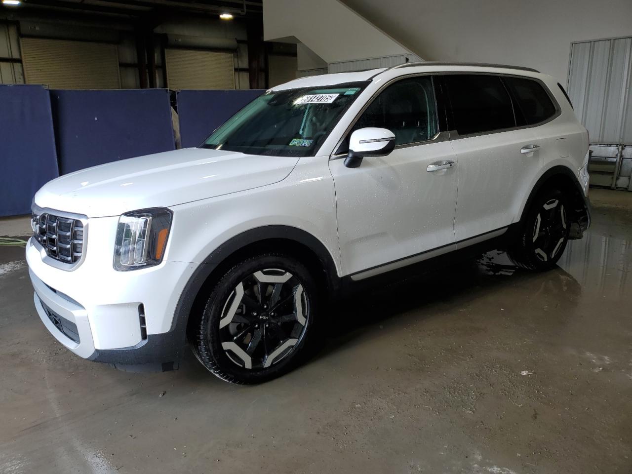 KIA TELLURIDE S