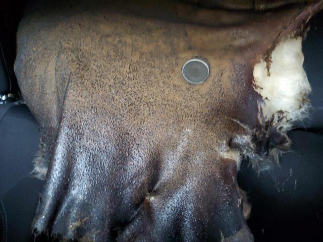 2019 JEEP CHEROKEE LATITUDE - 1C4PJLCB1KD262051