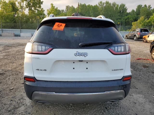 2019 JEEP CHEROKEE L - 1C4PJMDX4KD131843