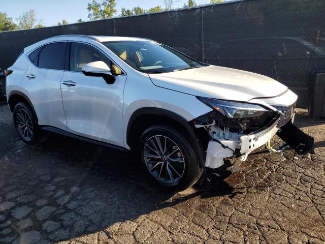 2025 LEXUS NX 350H BASE 2T2GKCEZ5SC039060