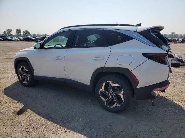 2023 HYUNDAI TUCSON LUXURY KM8JCCA18PU088752