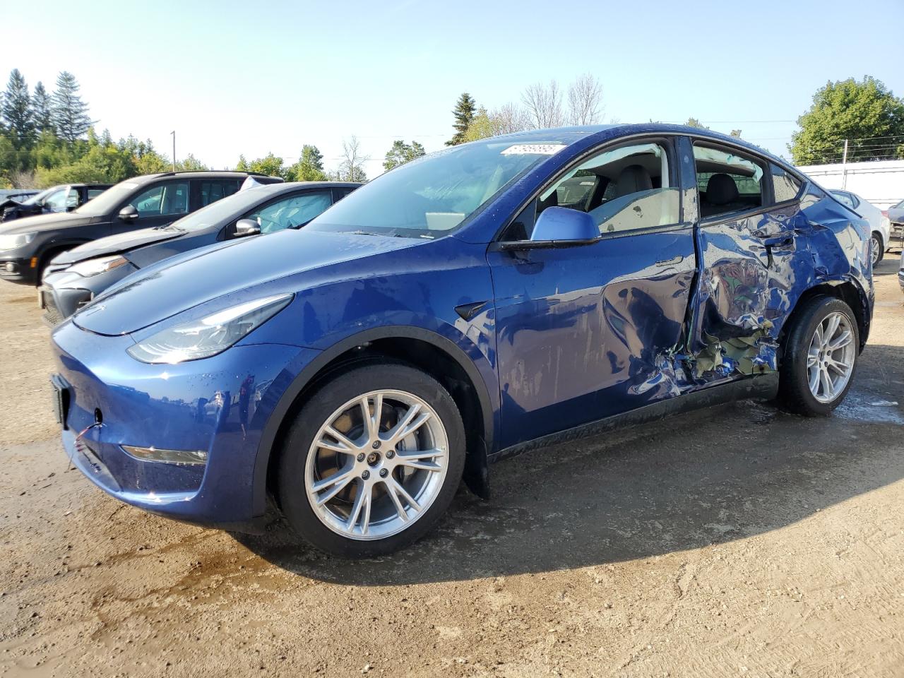 TESLA MODEL Y