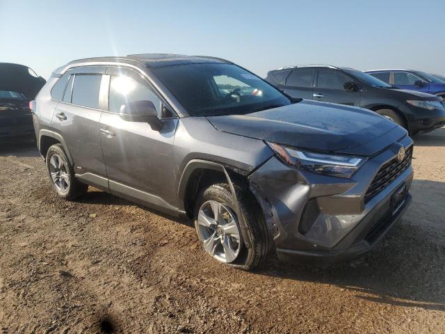 2025 TOYOTA RAV4 XLE - 4T3RWRFV0SU193598