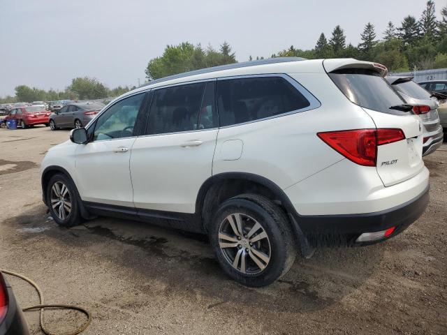 2018 HONDA PILOT EXLN 5FNYF6H76JB501600