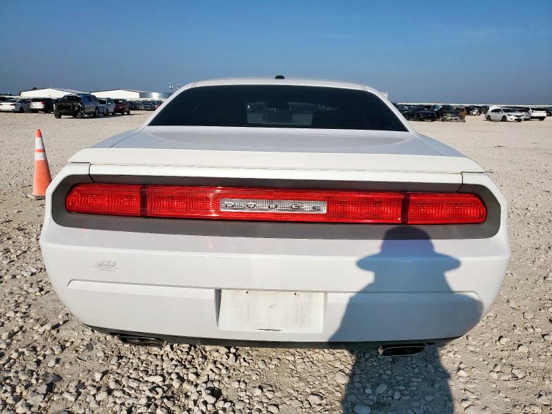 2010 DODGE CHALLENGER - 2B3CJ5DT0AH265429