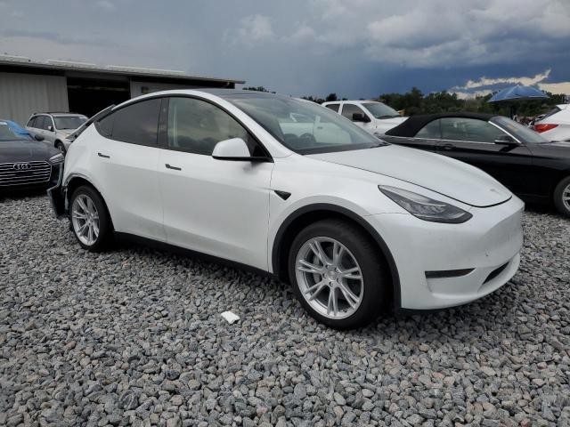 2023 TESLA MODEL Y 7SAYGDEE4PA155088