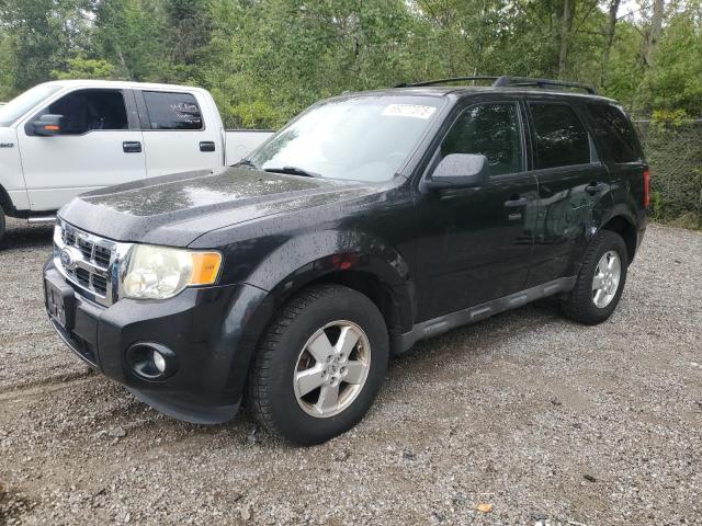 FORD ESCAPE XLT