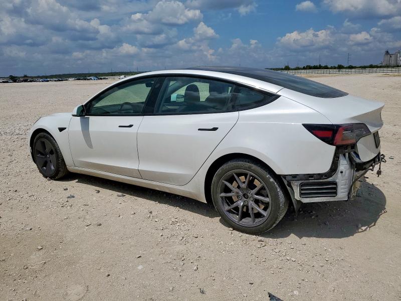 2023 TESLA MODEL 3 #3305652716