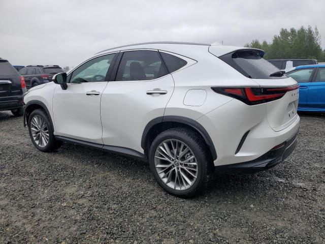 2024 LEXUS NX 350 LUX 2T2HGCEZ8RC032006