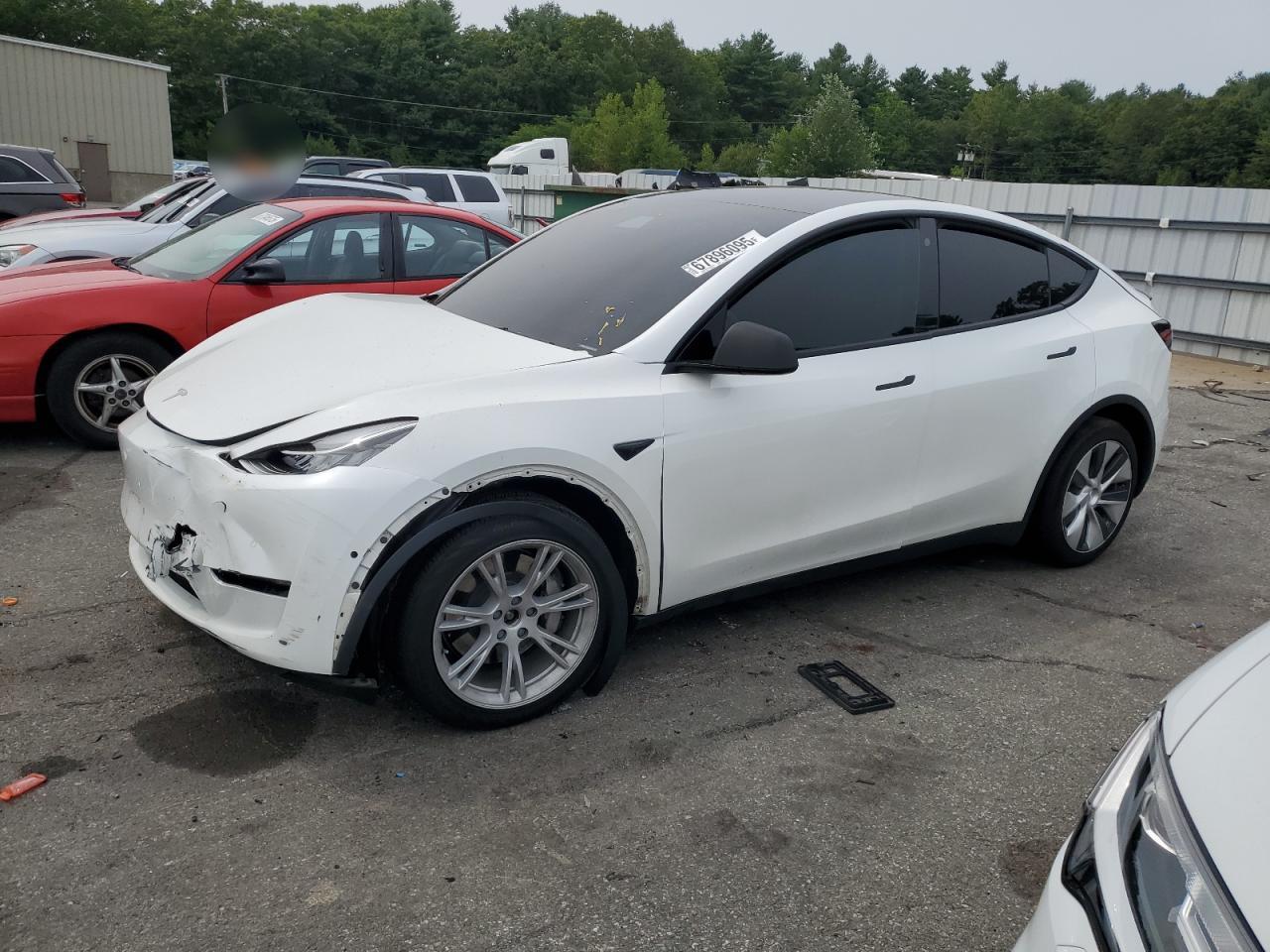TESLA MODEL Y