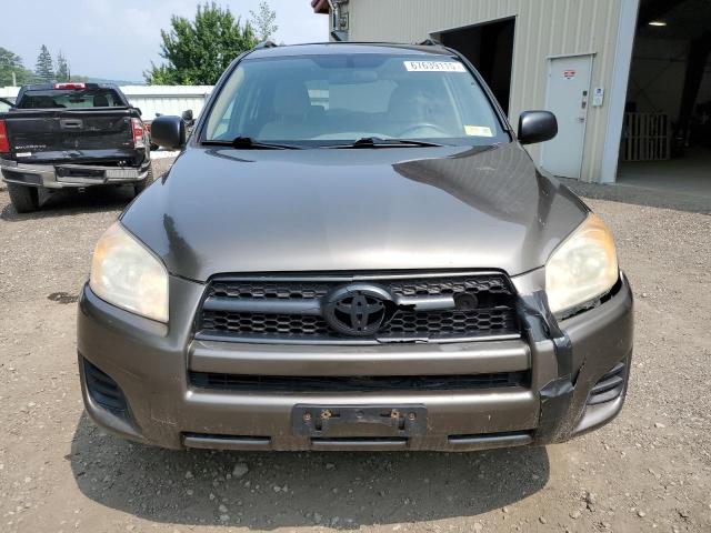 2010 TOYOTA RAV4 - 2T3BF4DV4AW036789