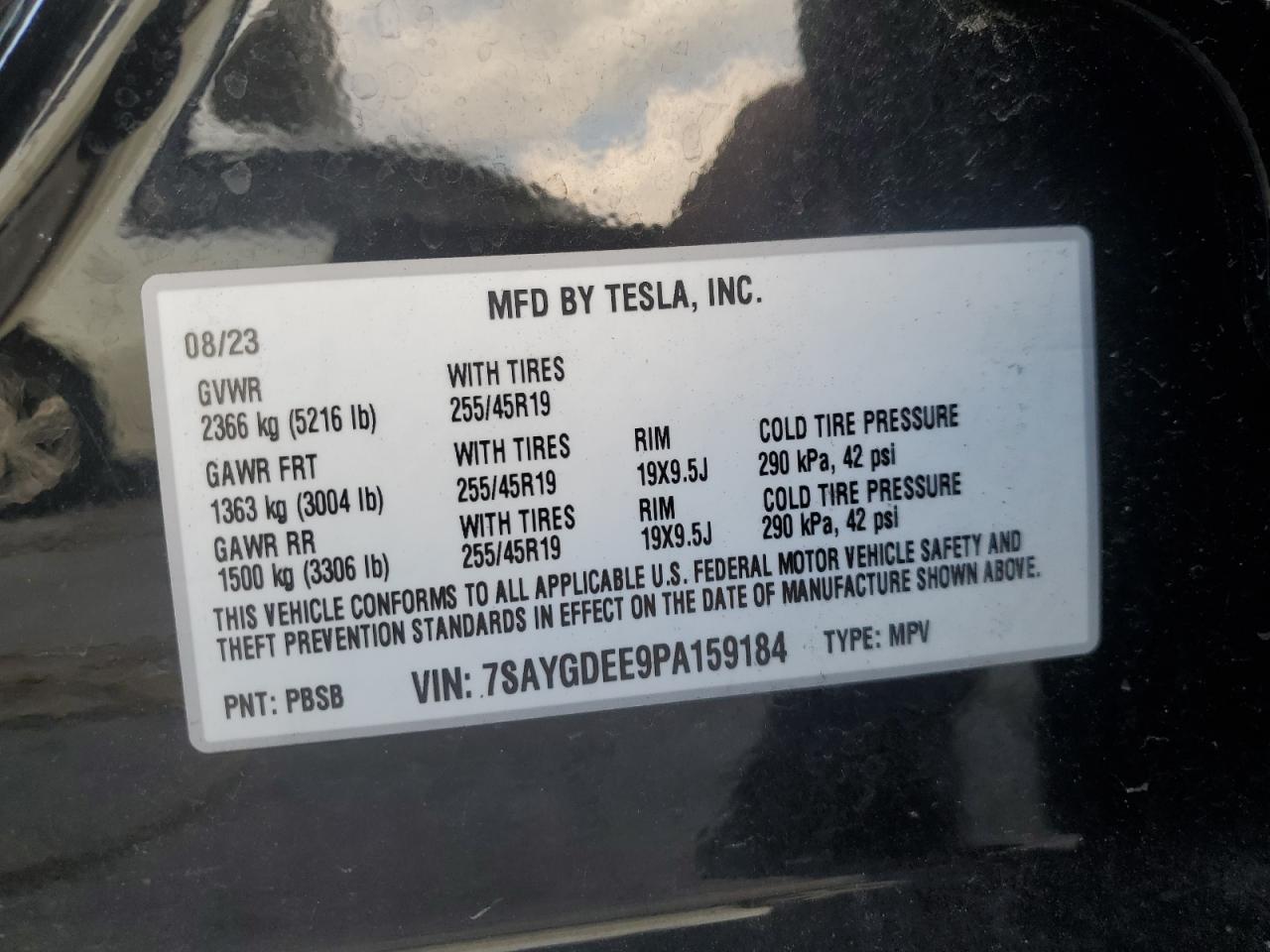TESLA MODEL Y