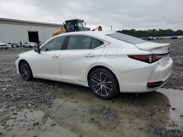 2022 LEXUS ES 300H BA 58ADA1C16NU018452