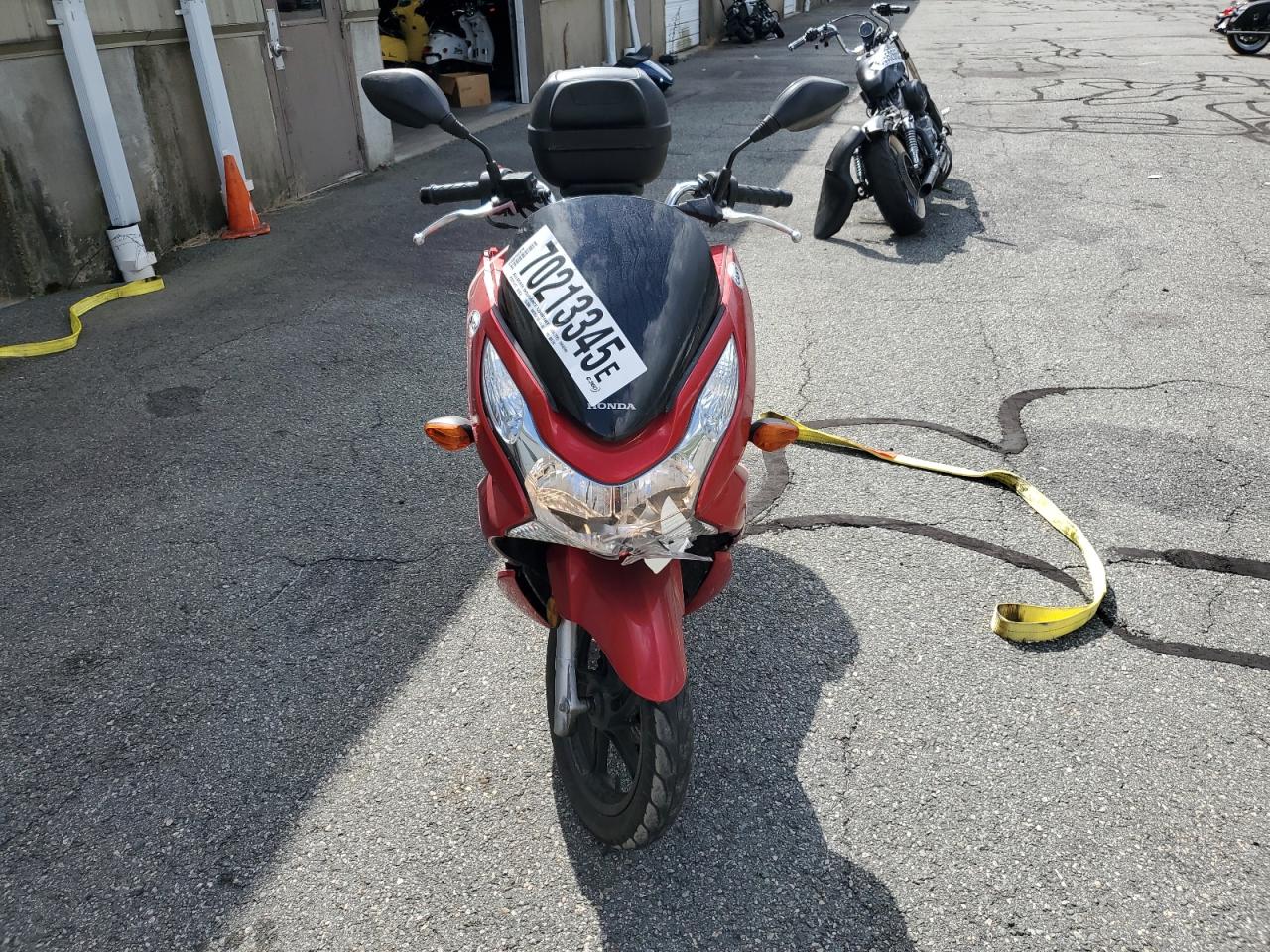 Global Auto Auctions