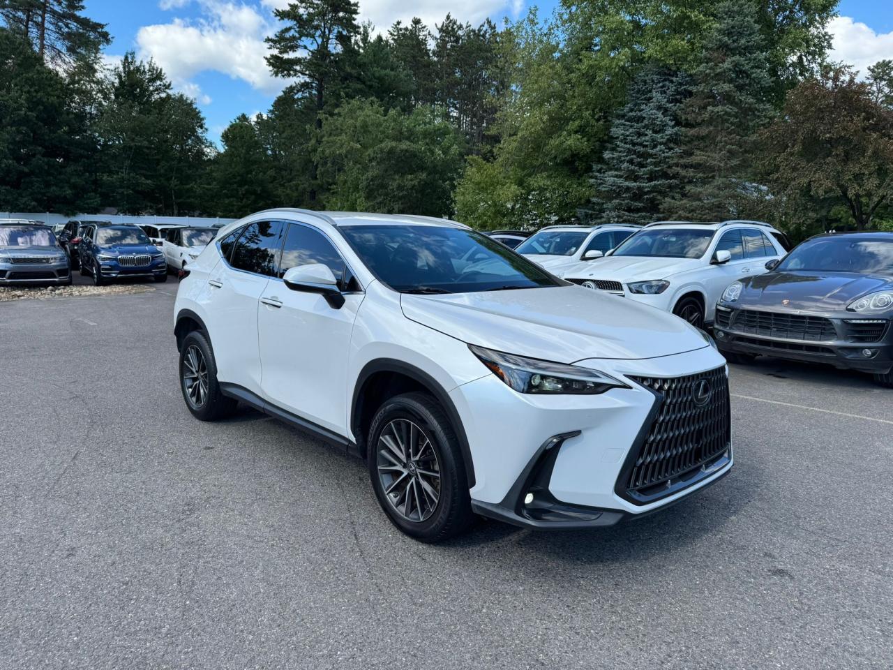 LEXUS NX 250