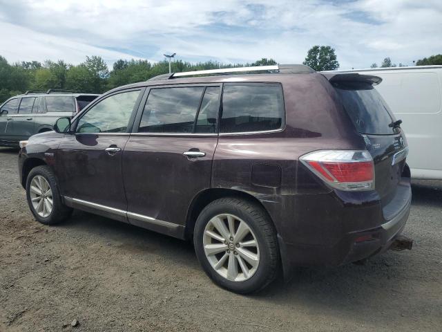 2013 TOYOTA HIGHLANDER - JTEDC3EH5D2018654