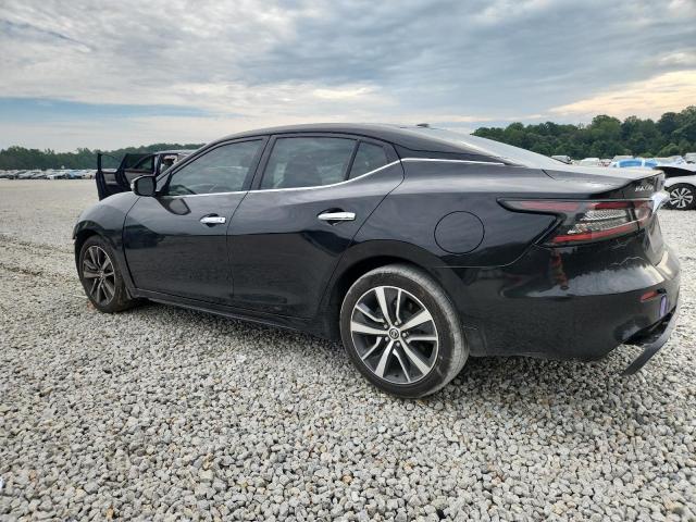 2019 NISSAN MAXIMA SV - 1N4AA6AV7KC376863