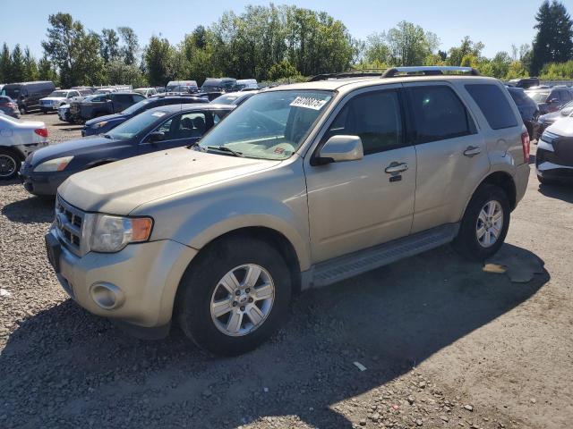2010 FORD ESCAPE LIM - 1FMCU9E74AKB29937