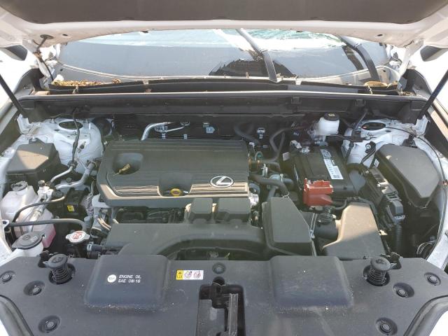 2024 LEXUS NX 250 BAS JTJADCAZ9R5014161