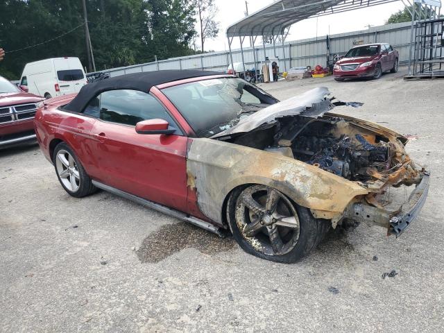 2010 FORD MUSTANG GT - 1ZVBP8FH5A5112200