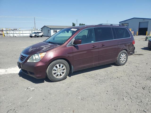 HONDA ODYSSEY EXL