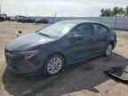 Top Destinations for Shipping Cars from the USA