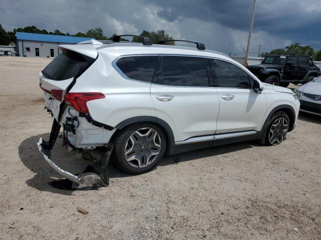2023 HYUNDAI SANTA FE L 5NMS44AL5PH497103