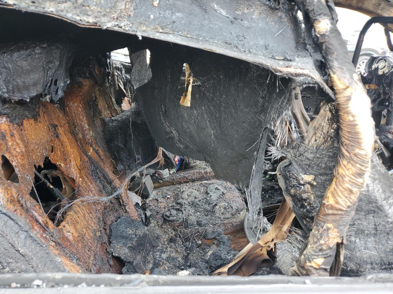 Lot #3287676101 2020 KIA SEDONA LX