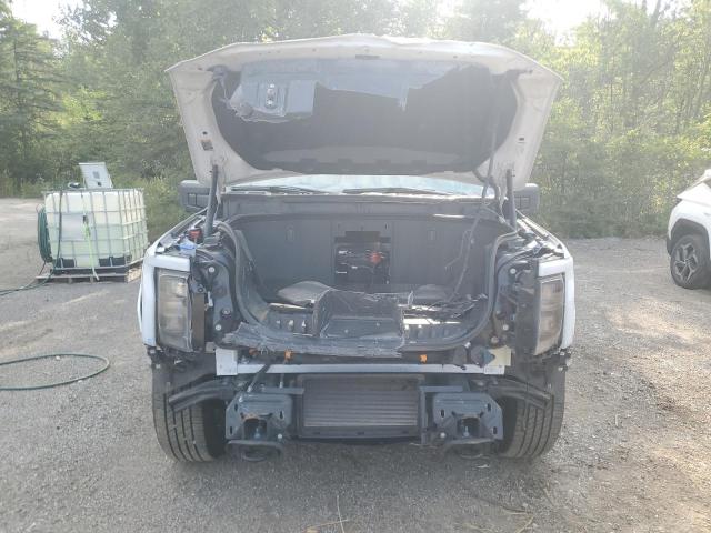 2023 FORD F150 LIGHT 1FT6W1EV4PWG24555