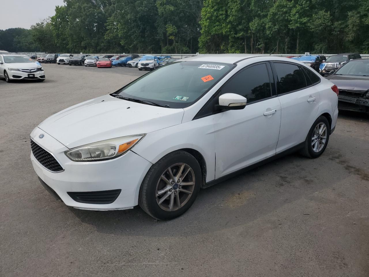 FORD FOCUS SE