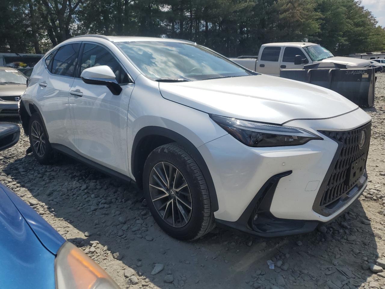 LEXUS NX 350 PREMIUM