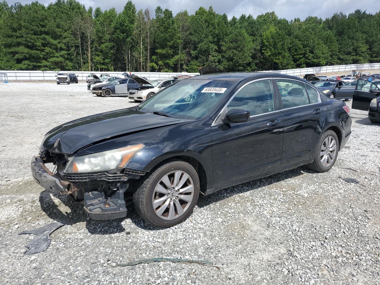 HONDA ACCORD EXL