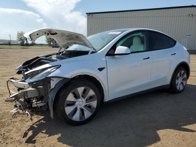 2023 TESLA MODEL Y - LRWYGDEEXPC104060